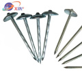 Roofing Nail Roof Wire Nail Steel Smooth Shank